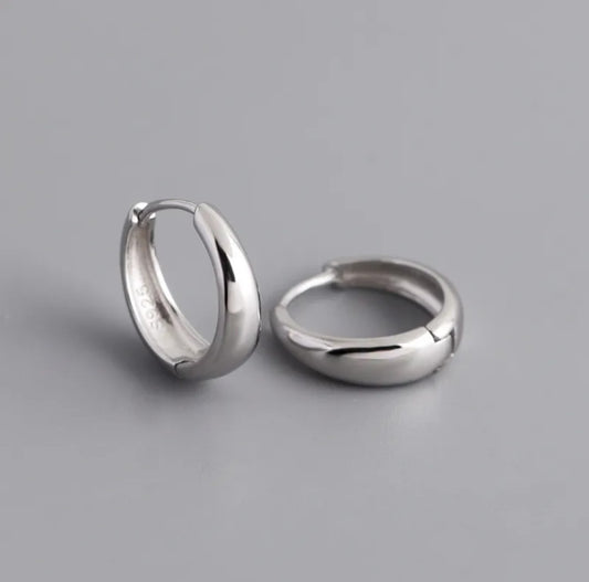 S925 Sterling Silver Earrings