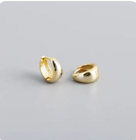 S925 Sterling Silver Earrings In Colour Gold